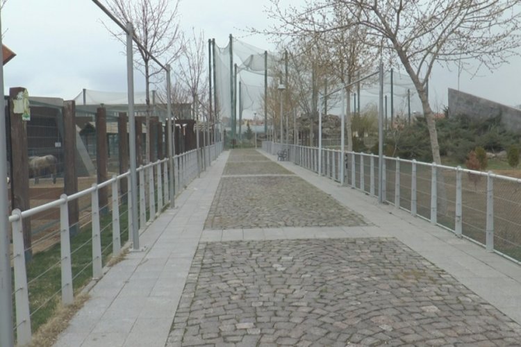Binlerce ziyaretçisi olan hayvanat bahçesi ıssız kaldı