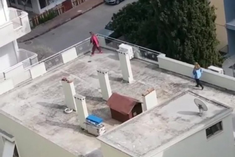 Korona virüs hayatı damlara taşıttı