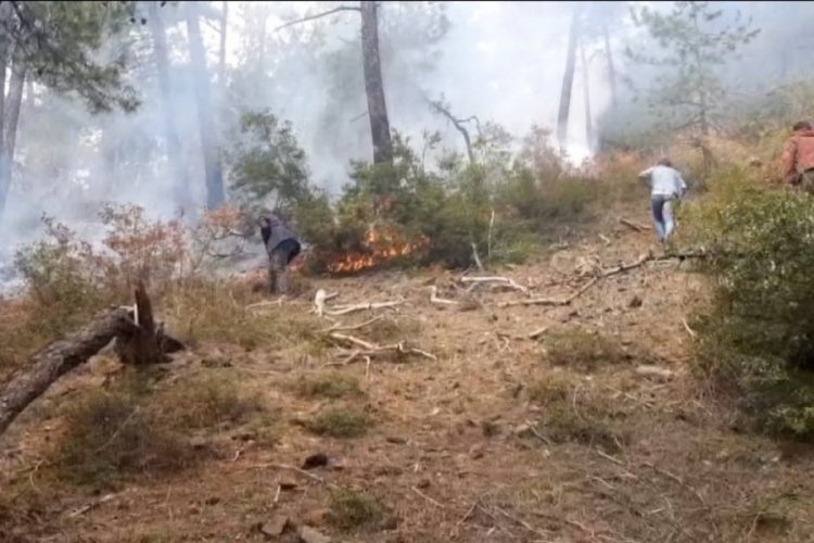 Balıkesir'de orman yangını