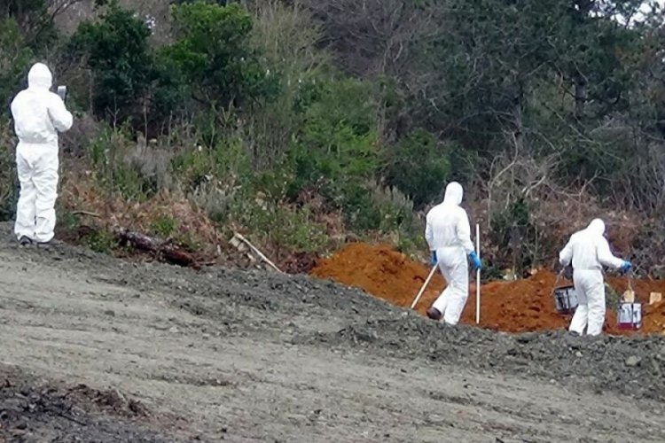 Bilim Kurulu üyesi Prof. Dr. Akın: Ölenlerin ayrı mezarlara gömülmesine anlam veremiyoruz