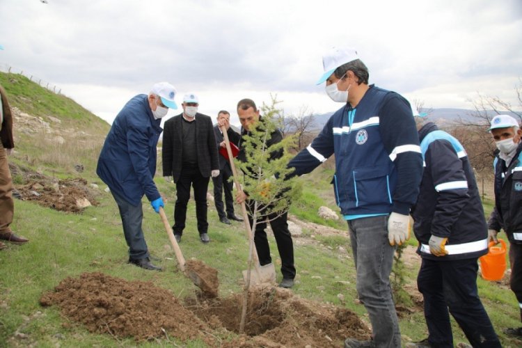 Malatya'da 750 fidan toprakla buluştu