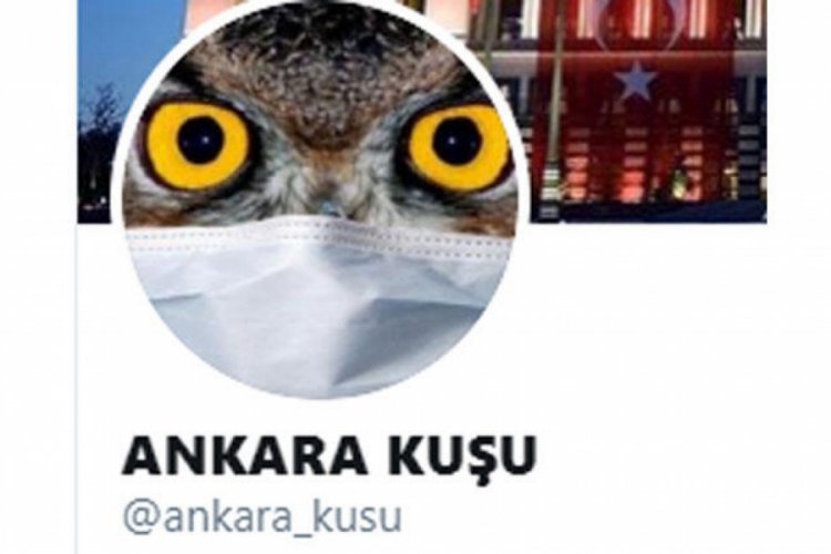 Twitter fenomeni 'Ankara Kuşu' gözaltına alındı