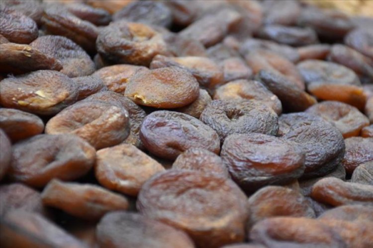 Malatya'dan mart ayında 23 milyon 411 bin dolarlık kuru kayısı ihracatı