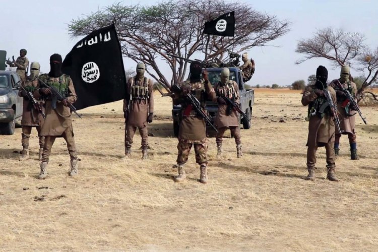 Boko Haram'ın rehin aldığı 28 kişi kurtarıldı