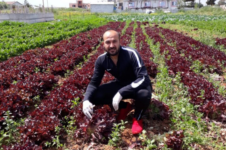 KKTC'de çiftçiden halka bedava sebze jesti