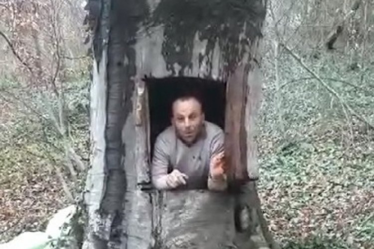 Koronavirüsten korunmak için ağacı oymuştu, yasal işlem başlatıldı