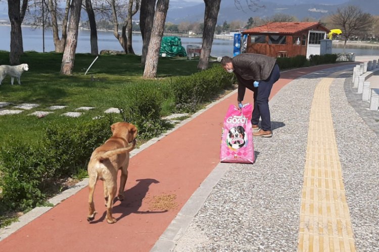 Bursa İznik'te can dostları unutulmadı