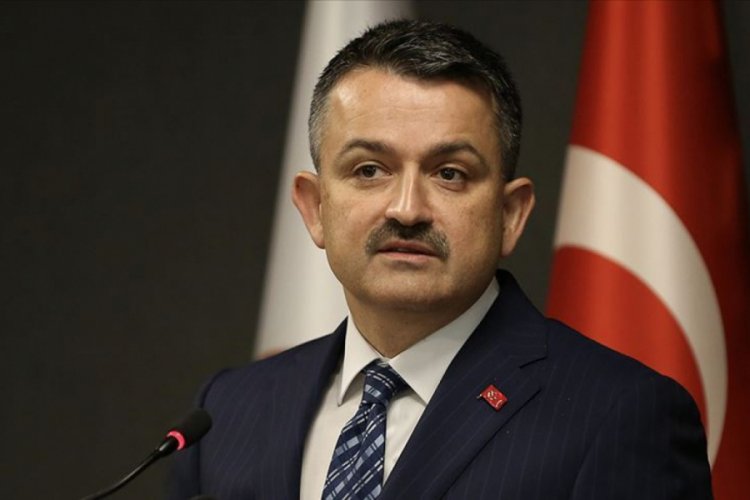 Bakan Pakdemirli: Ankara'nın atık suyunda virüse rastlanmadı