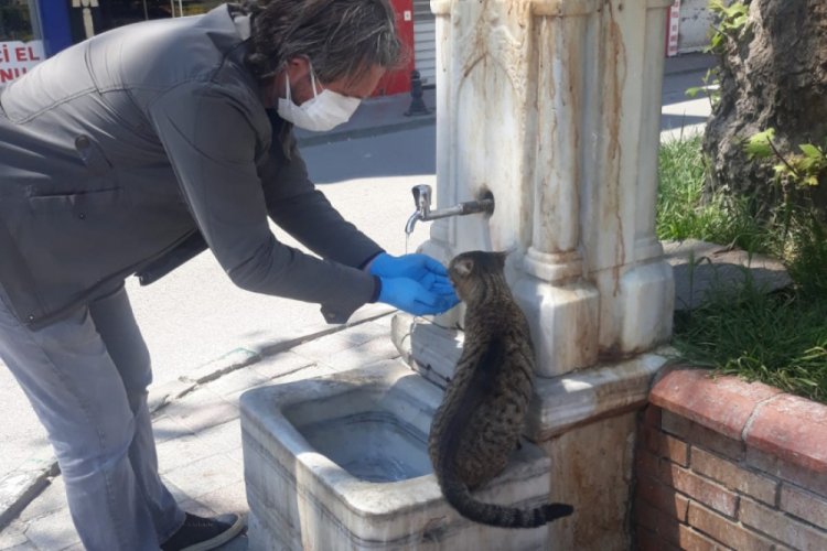 Bursa'da polisin hayvan sevgisi kamerada