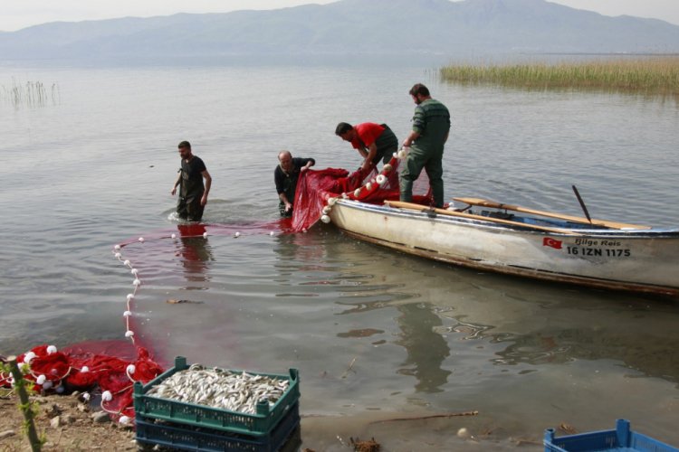 Koronavirüs pandemi, Bursa'da gümüş balığı fiyatlarını da etkiledi