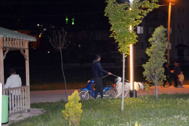 Köpeği, bindikleri motosikletle çekerek götürdüler