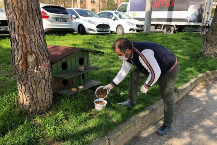 Bursa Yıldırım'da sokak hayvanlarına şefkat