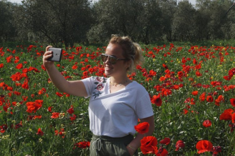 Gelincik tarlaları Bursalı fotoğraf sevdalılarının mekanı oldu