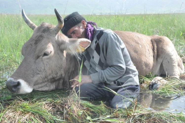 Tek geçim kaynağı bataklığa saplandı