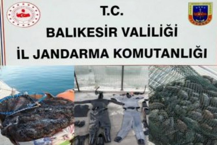 Kaçak deniz tarağı operasyonu