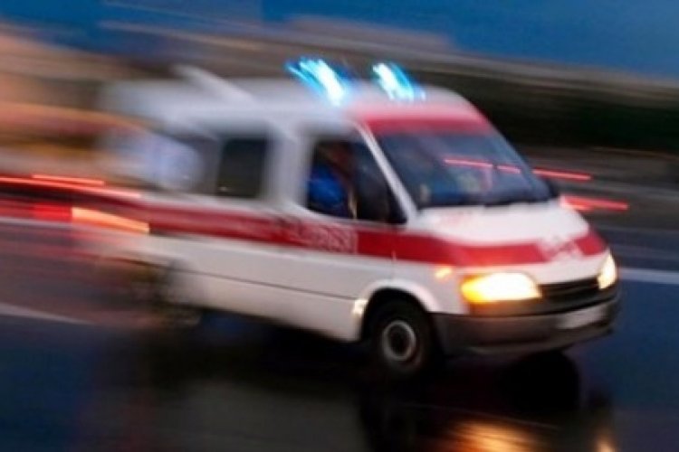 Kardeşlerin arazi kavgası kanlı bitti