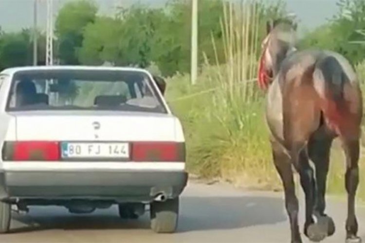 Osmaniye'de tepki çeken görüntüler! Atı dakikalarca sıcakta koşturdu