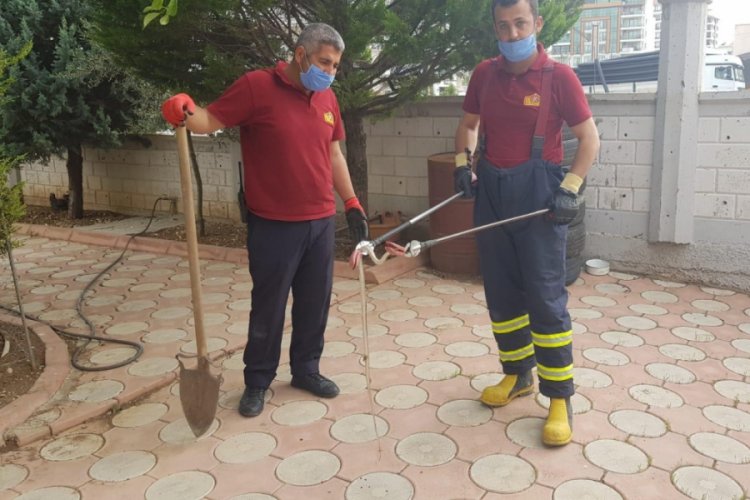 Adıyaman'da iş yerine giren yılan yakalandı