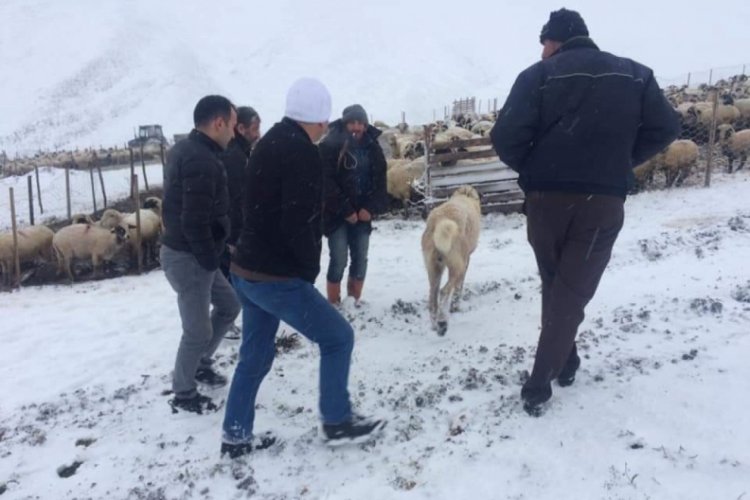 Yaylada mahsur kalan 8 kişi kurtarıldı