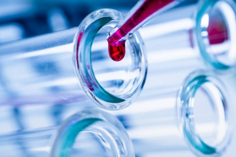 Almanya'da ayine katılan 40'tan fazla kişiye koronavirüs bulaştı