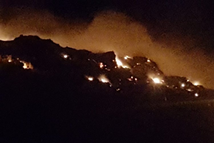 Antalya'da orman yangını