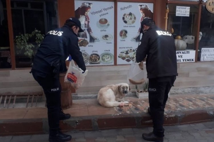 Polis yaşlılara yardım etti, sokak hayvanlarını doyurdu