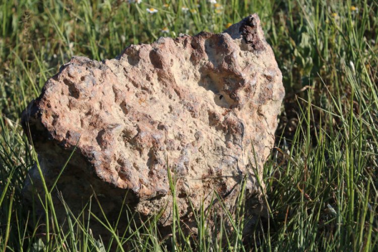 Tarlada bulduğu 'gök taşını' satılığa çıkardı
