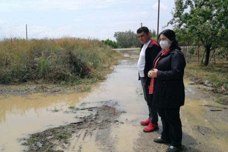 CHP Bursa İznik'te tarlaları zarar gören köylüleri ziyaret etti