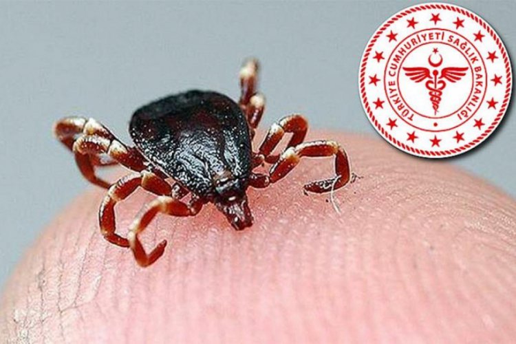 Karabük Sağlık Müdürlüğünden ''kene'' uyarısı