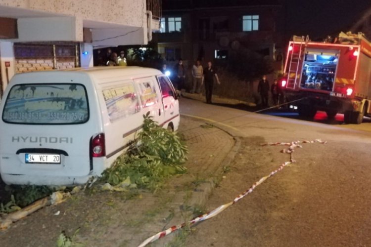 Kimyasal madde taşıyan minibüs ağaçlara ve binaya çarptı