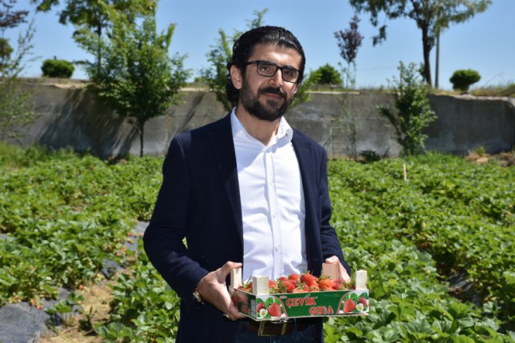 Öğretim görevlisinin hobi çalışması gelir kaynağı oldu