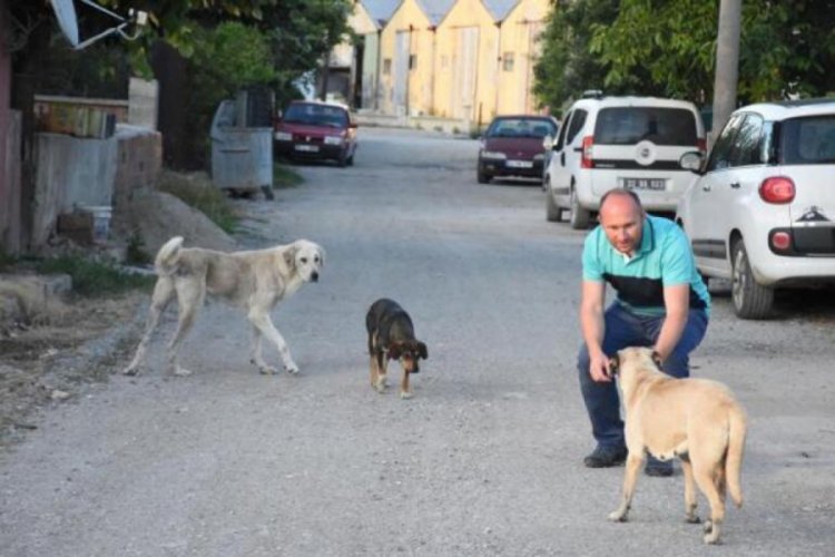 Belediye Başkanı isyan etti: Yapılan katliam
