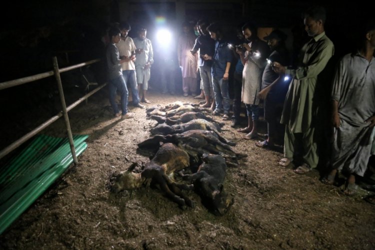 Pakistan'da şiddetli fırtına: 4 ölü