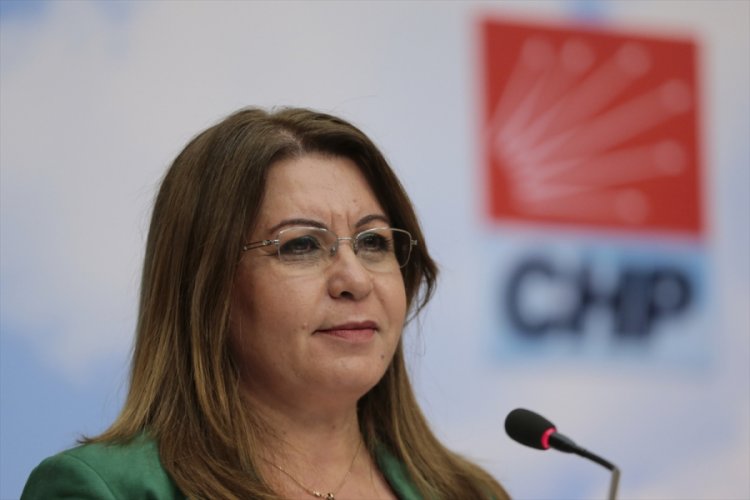 CHP'li Karaca'dan '5 Haziran Dünya Çevre Günü' açıklaması