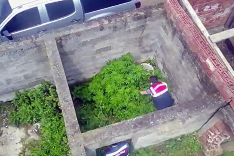 Ahırda kenevir yetiştirdiği dronla belirlendi