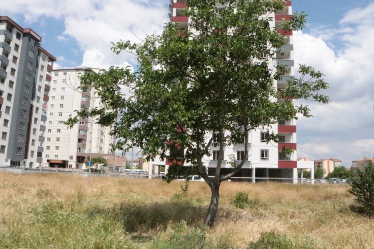 Boş arazide cenin bulundu