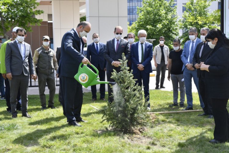 Edirne Valisi: 3 haftadır pozitif vaka yok