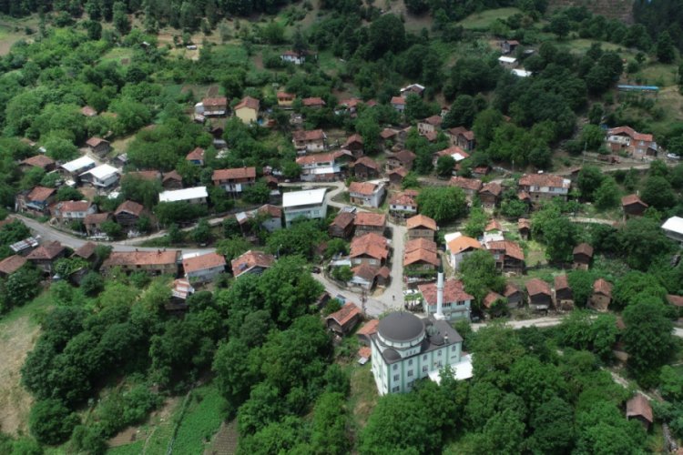 Bursa'da köy halkı hep birlikte karar aldı 15 yıldır sigara kullanmıyorlar