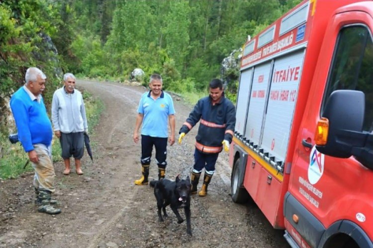 Dereye düşen köpeği itfaiye kurtardı Güncel Haberler