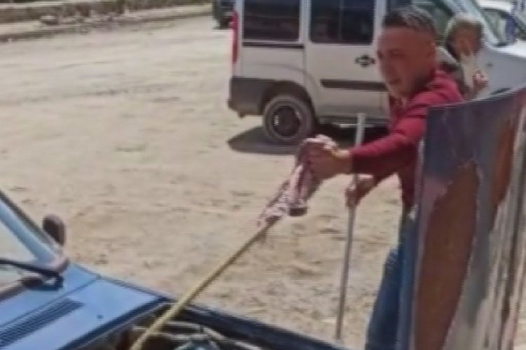 Bakmaya korktukları yılanı eliyle çıkarttı