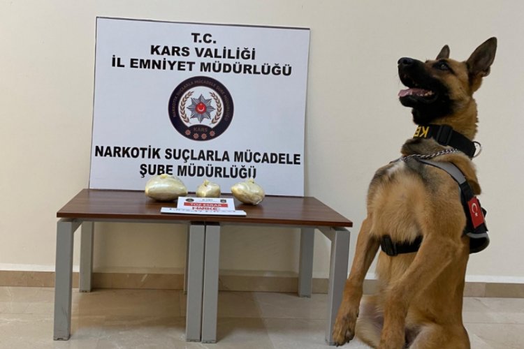 Narkotik köpek Odin uyuşturucuya geçit vermedi