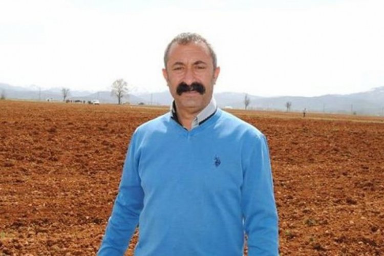Tunceli Belediye Başkanı Maçoğlu, koronavirüse yakalandı