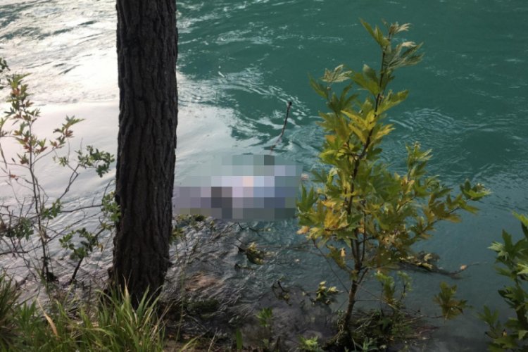 Fotoğraf tutkusu onu hayattan kopardı