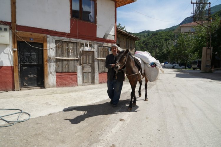 At sırtında çerçicilikle geçen bir ömür