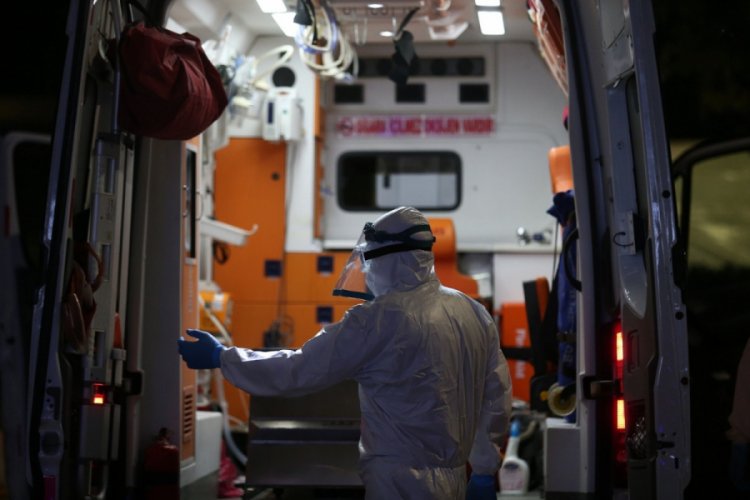 9 bin 671 kilometre uzaktan zamana karşı yarışla Bursa'ya getirildiler!