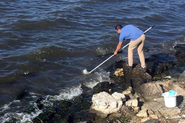 ''Küçükçekmece Gölü'ndeki balık ölümleri üzerine numuneler alındı''