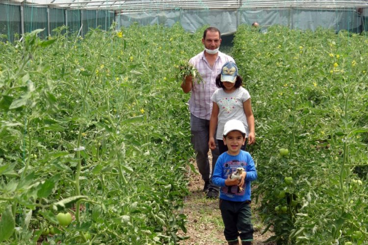 'Genç Çiftçi' projesiyle köyüne döndü