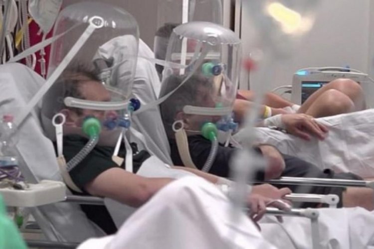Harvardlı ünlü doktor: Salgın en az 12 ay devam edecek