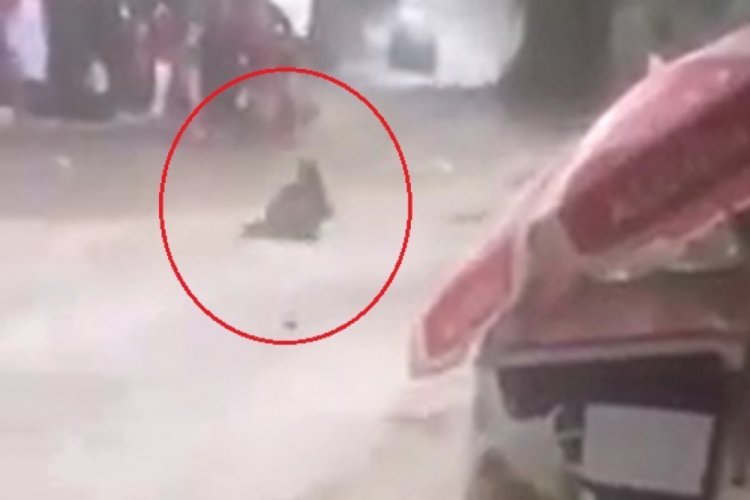 Bursa'da sele kapılan kadın taburcu oldu, yaşadıklarını anlattı