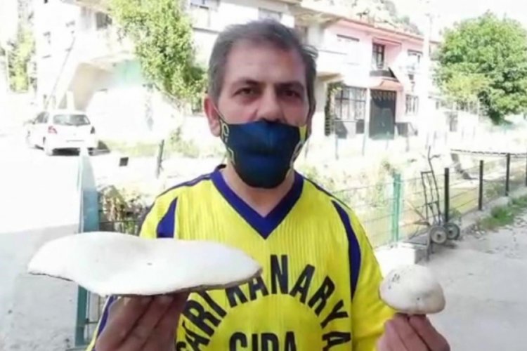 Dev mantar görenleri şaşkına uğrattı
